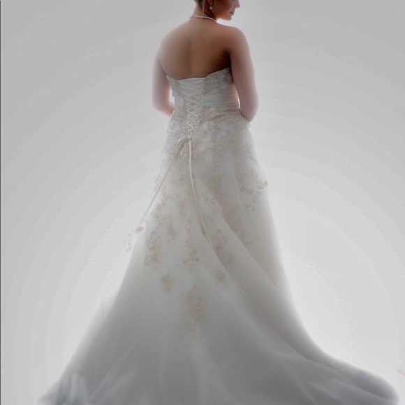 Stunning Wedding Dress - Sophi Toli (“Ida”) - Picture 5 of 10